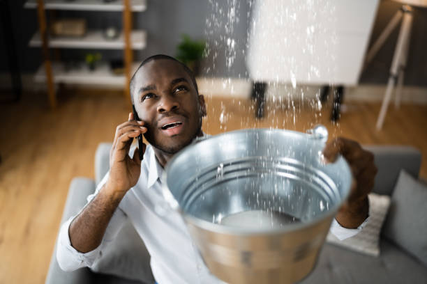 Best Ceiling water damage repair  in Brandywine Bay, NC