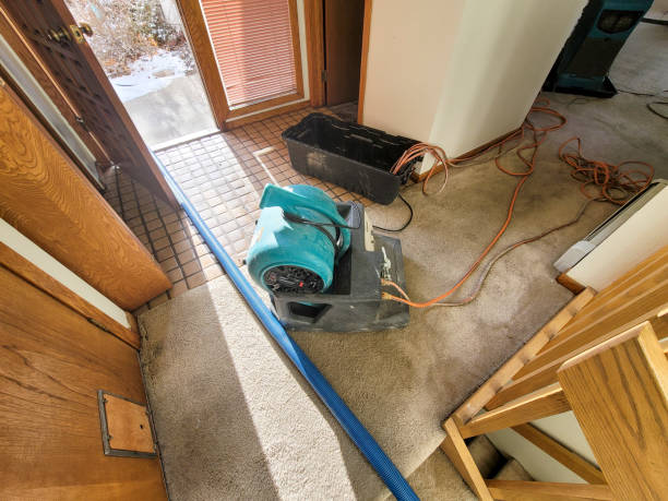 Best Commercial water damage restoration  in Brandywine Bay, NC