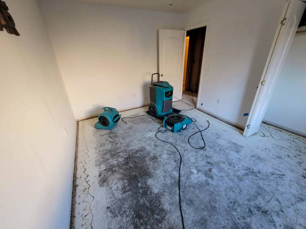 Best Flooded house restoration  in Brandywine Bay, NC