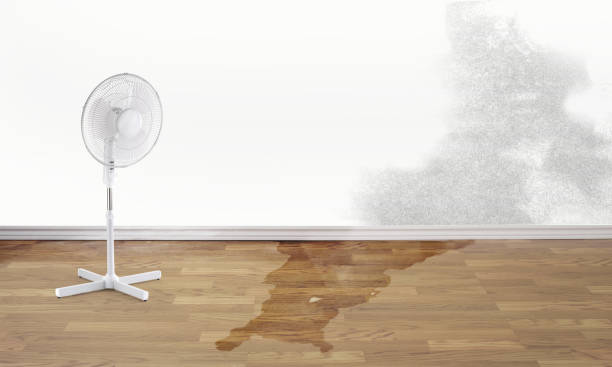 Best Ceiling water damage repair  in Brandywine Bay, NC