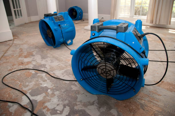 Best Carpet water damage restoration  in Brandywine Bay, NC