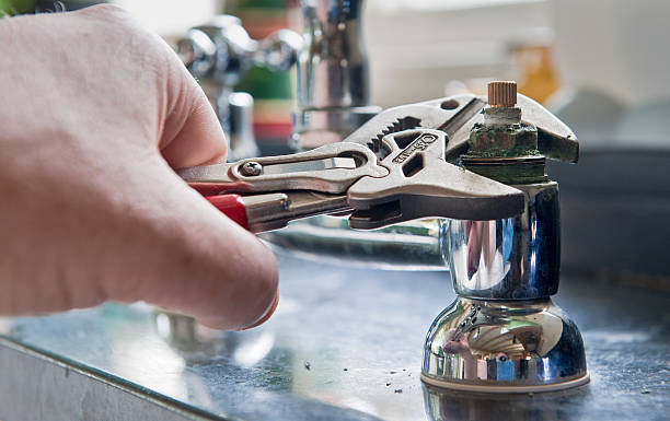 Best Professional water damage repair  in Brandywine Bay, NC