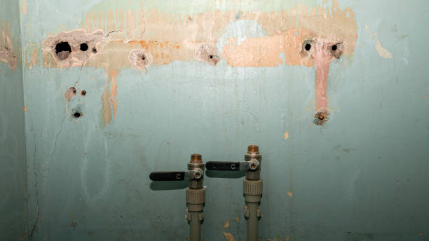 Best Flooded house restoration  in Brandywine Bay, NC