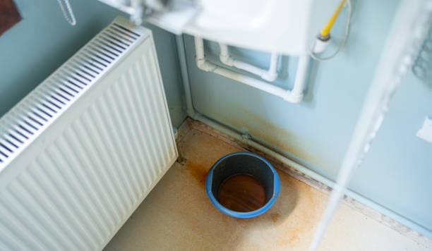 Best Water damage cleanup near me  in Brandywine Bay, NC