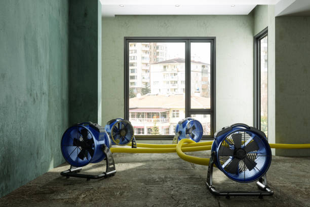 Best Basement water damage restoration  in Brandywine Bay, NC